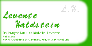 levente waldstein business card